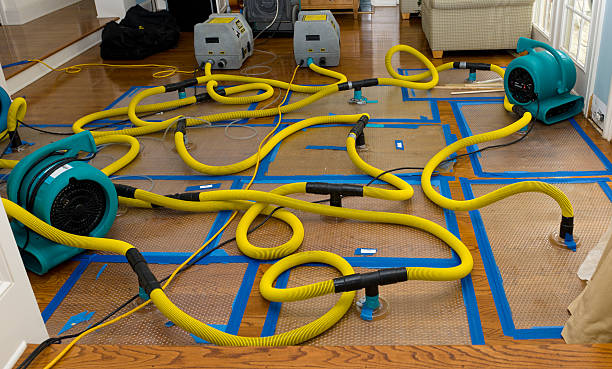 Professional Crawl Space Water Removal technician working in Rock Spring, GA